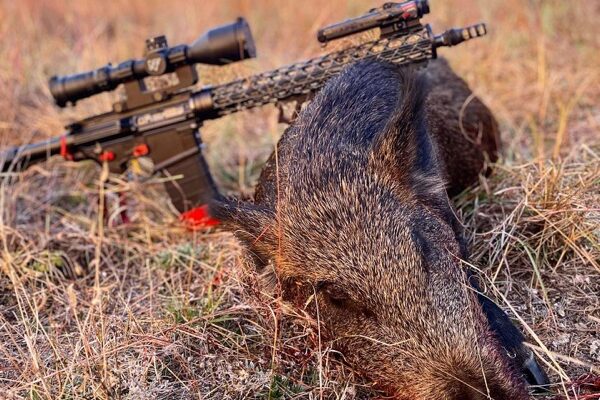 AR15 with lightweight carbon fiber handgaurd resting on a boar.
